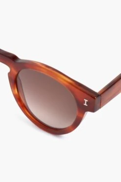 Saffron Havana Leonard Sunglasses -Loeffler Randall Store 6aN5waLfS2uw2PXSexbdnjU45kd7ejWa 1