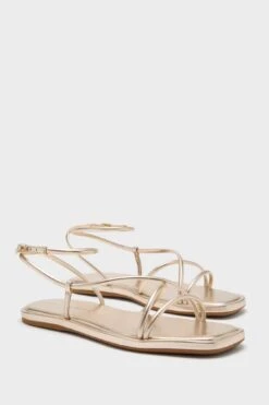 Loeffler Randall Champagne Nappa Noor Sandals -Loeffler Randall Store 7PeevXODW8eFIzMsolMcCs7IOOiCDVdi 1
