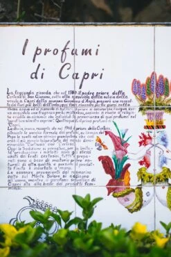 The Scent Of Capri Perfume -Loeffler Randall Store D9zHs4beHc2wDBGQkB0tl72vkFKTnAtE 1