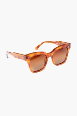 07 Havana Sunglasses 6 07 Havana Sunglasses -Loeffler Randall Store TqNnVxnYfFfAwilDFvEwux5cDLtHyydf 1