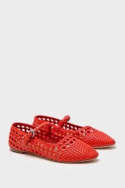 Staud Wild Poppy Mary Jane Nell Flat -Loeffler Randall Store WN59CNjCnItsWEMtweZpFQyheZqp6ghY 1