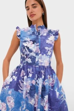 Erdem Artist Garden Pale Cobalt Sleeveless Flared Midi Dress -Loeffler Randall Store aeOPMEoq8MAFlRoPKPr4ZZJ5Vhj3CRQc 1