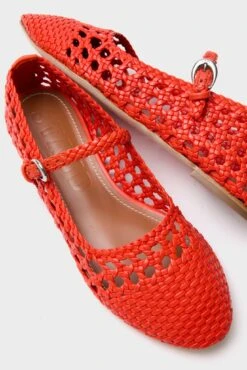 Staud Wild Poppy Mary Jane Nell Flat -Loeffler Randall Store alqE6vKfUqoJegkZl9aoUjZG9DUUMfVo 1