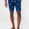 Navy American Flag Embroidered Stretch Twill Cisco Shorts
