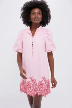 Pink & Red Embroidered Mimi Mini Dress