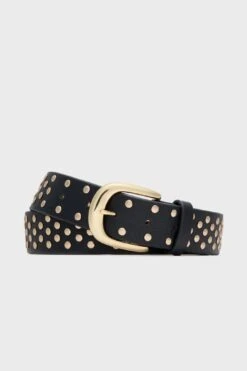 Black And Gold Studded Idris Belt